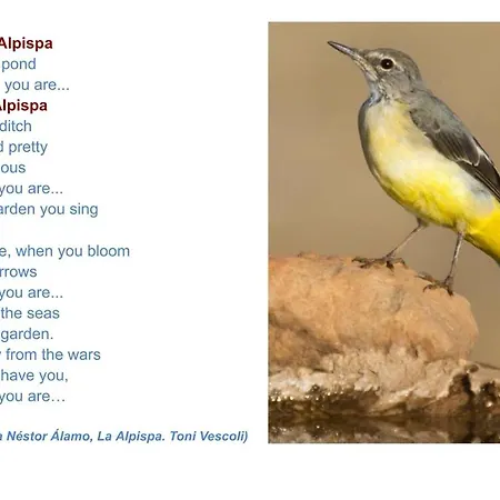 Casa Alpispa Apartamento