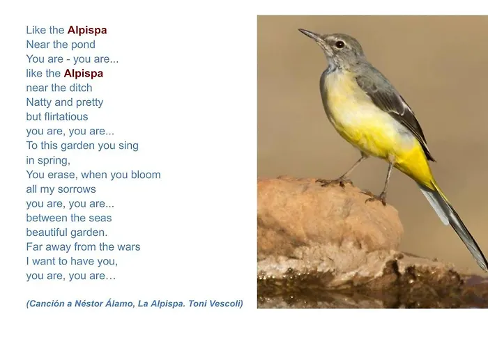 Casa Alpispa Apartment